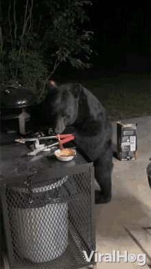 a black bear is standing on a grill with a plate of food in front of it and the words viralhog behind it