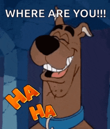 scooby doo is smiling and laughing with the words where are you