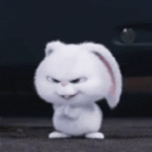 a white rabbit from the secret life of pets is standing in front of a car and looking angry .
