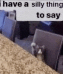 a cat is sitting on a carpet in front of a sign that says `` i have a silly thing to say ''