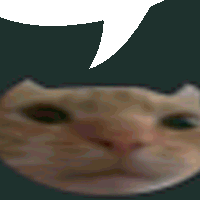 a close up of a cat 's face with a white speech bubble behind it