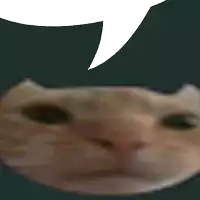 a close up of a cat 's face with a white speech bubble behind it