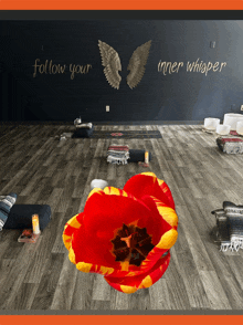 a room with a red flower on the floor and the words follow your inner whisper on the wall