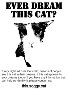 a black and white poster asking if people ever dream this cat