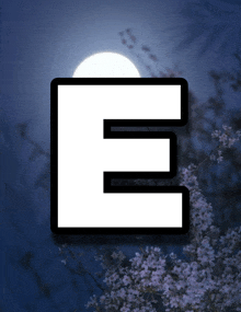 the letter e is on a blue background with flowers