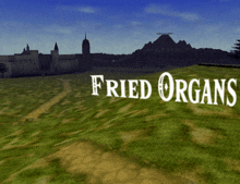 fried organs is written in white on a grassy hill