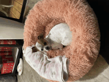 a small dog laying in a pink dog bed