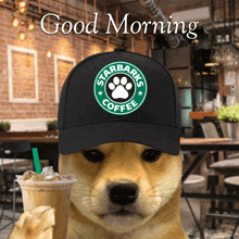 a dog wearing a hat that says starbarks coffee on it