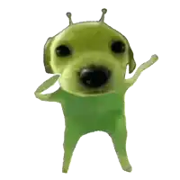 a dog that looks like a green alien with a crown on its head
