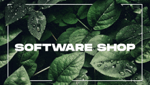 a picture of green leaves with the words software shop written on it