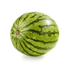 a green watermelon is sitting on a white background .