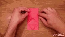 a person 's hands are holding a red object and the words made in animotica are visible