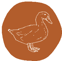 a drawing of a duck in a circle on a brown background