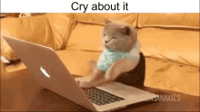 a cat is crying while using a laptop computer .