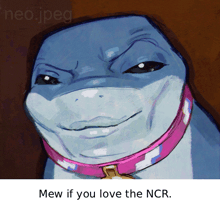 a drawing of a dolphin with a pink collar and a caption that says mew if you love the ncr