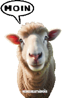 a sheep with a speech bubble that says moin above it