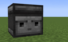 a block with a face on it is in a minecraft game