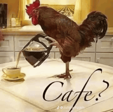 a rooster is pouring coffee into a cup on a table with the word cafe written on it .