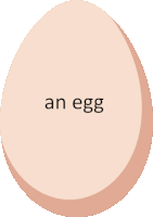 a brown egg with the word an egg on it