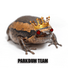 a frog with red eyes and a crown on its head with the words parkdum team below it