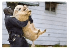 a police officer is holding a large dog up in the air