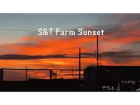 a sunset with the words s & t farm sunset below it