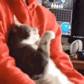 a cat is laying on a person 's lap