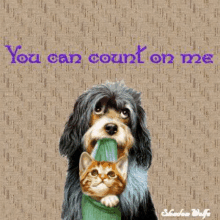 a picture of a dog and a cat with the words " you can count on me " above them