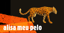 a picture of a leopard with the words alisa meu pelo written below it