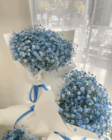 two bouquets of baby 's breath wrapped in white paper with a blue ribbon