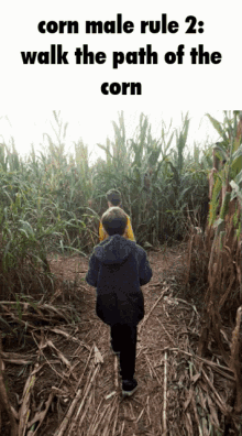 two boys are walking through a corn maze with the caption " corn male rule 2 walk the path of the corn "