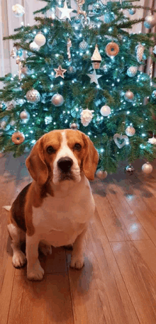 a brown and white dog is sitting in front of a christmas tree .