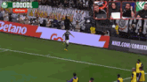 a soccer field with a banner that says goool and nike.com/corinthians