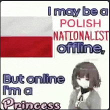 i may be a polish nationalist offline , but online i 'm a princess .