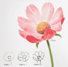 a step by step drawing of how to draw a flower by kace