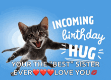 a birthday card with a cat that says incoming birthday hug your the " best " sister ever love you