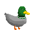 a pixel art duck with a green head and yellow beak is walking on a white background .