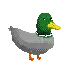 a pixel art duck with a green head and yellow beak is walking on a white background .