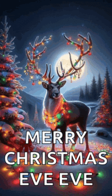 a picture of a deer with christmas lights on its antlers wishing merry christmas eve