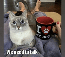 a cat sits on a couch next to a mug that says i love my dog