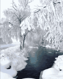 a river surrounded by snow covered trees and ice