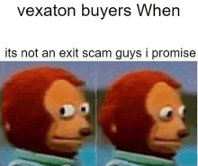 a picture of a monkey with the words vexaton buyers when its not an exit scam guys i promise