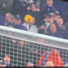 a group of people are watching a soccer game and one of them has a yellow ball on his head with the letter n on it