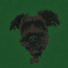 a black dog with a red bone in its mouth is on a green background