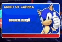 a picture of sonic the hedgehog giving a thumbs up in a video game .