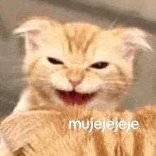 a close up of a cat making a funny face with the words mojejejeje written on it .