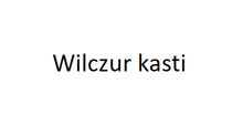 a white background with the word wilczur kasti in black letters