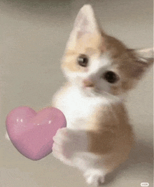 a brown and white kitten is holding a pink heart .