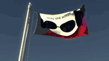 a flag that says holy shit woezel is waving in the wind