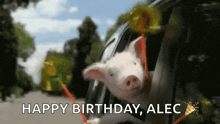 a pig is sticking its head out of a car window and saying happy birthday alec